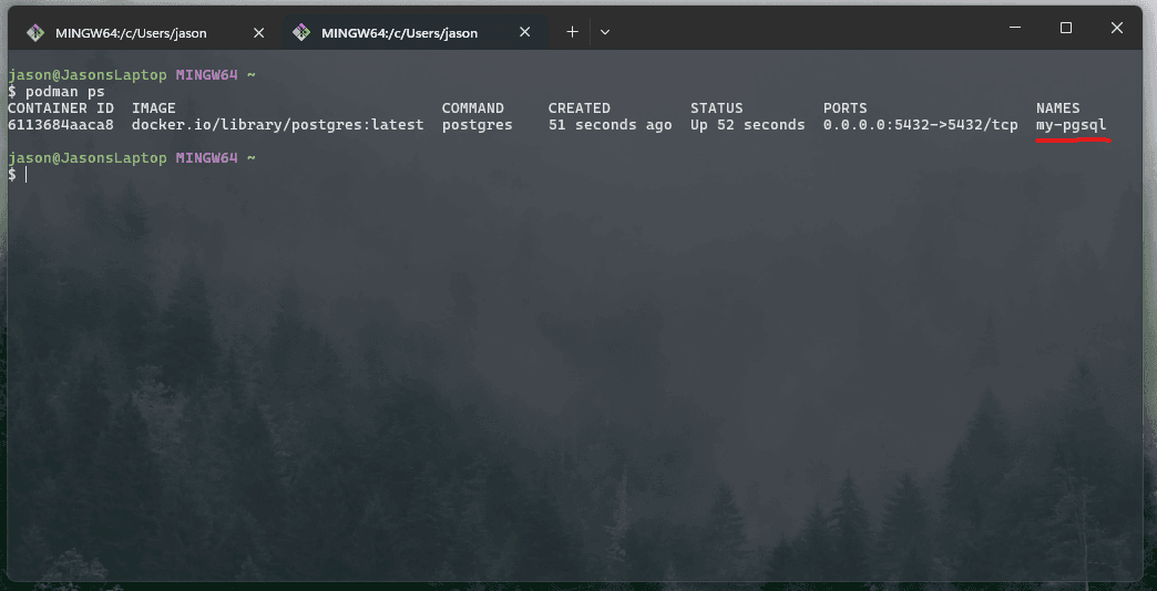Podman postgres example result