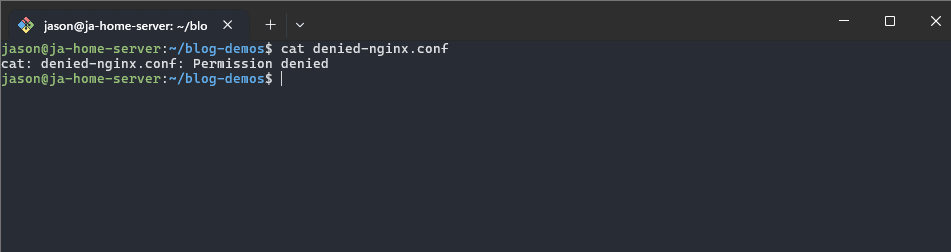 Showing the result of cat command on denied nginx index.html file.