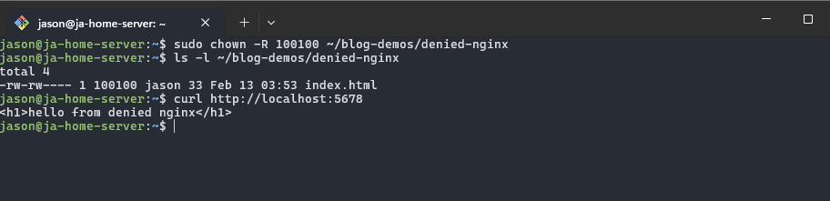 Result of the chown command fixing the permission denied errors with nginx container
