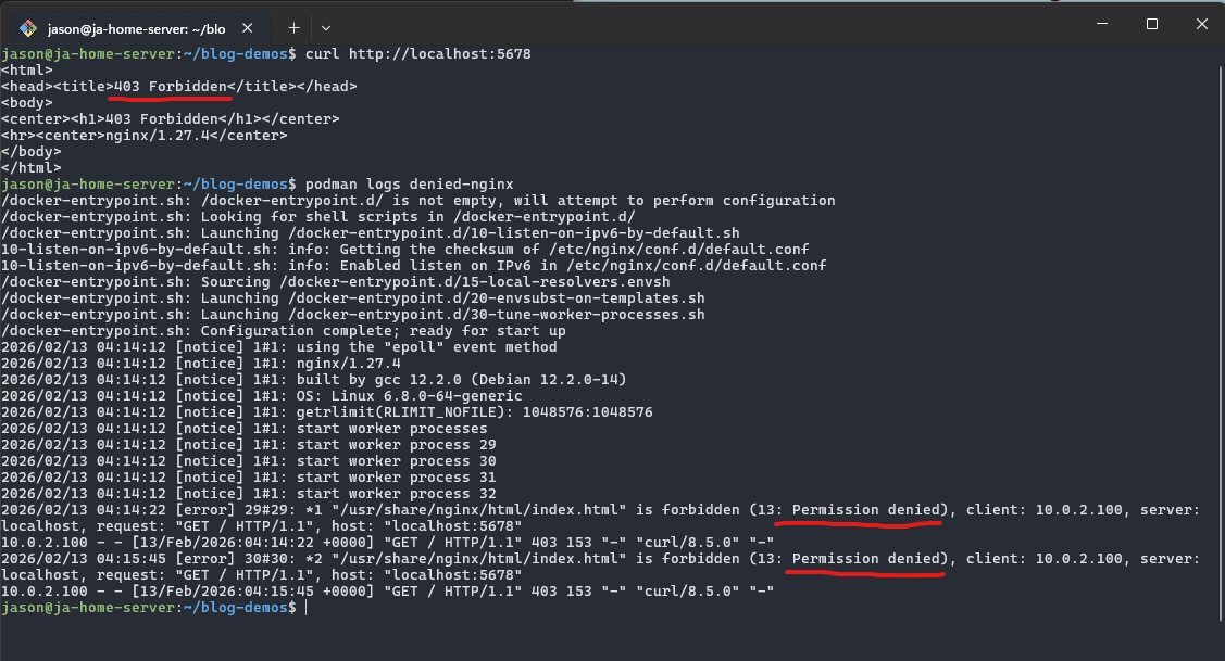 Nginx index file permission denied logs